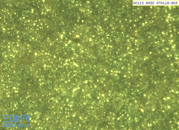 GCr15 800X 070118-805.JPG
